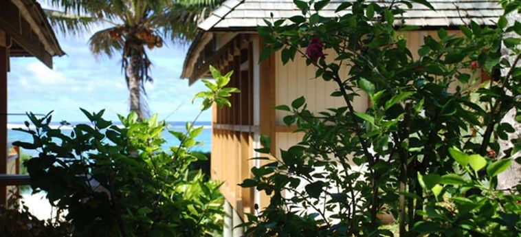 Hotel Palm Grove Rarotonga : Photo 