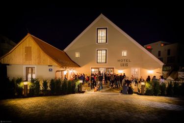 Hotel Luis Stadl Ratisbon: Photo 