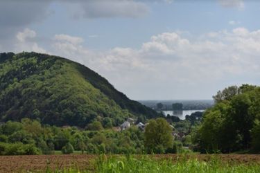 Hotel Villa Regensburg Ratisbon: Photo 
