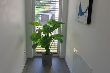 Hotel Villa Regensburg Ratisbon: Photo 