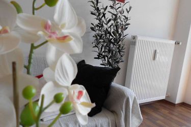 Hotel Beethoven Ratisbon: Photo 
