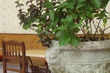 Hotel Lux Ratisbon: Photo 