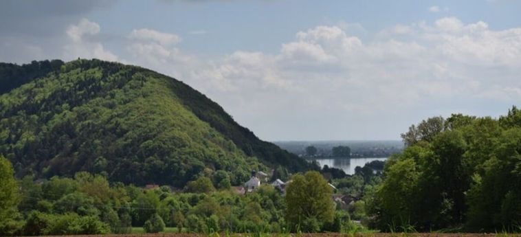 Hotel Villa Regensburg Ratisbona: Foto 