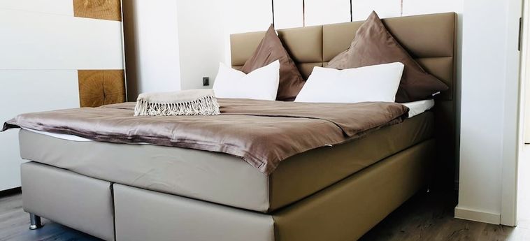 Hotel Villa Regensburg Ratisbonne : Photo 