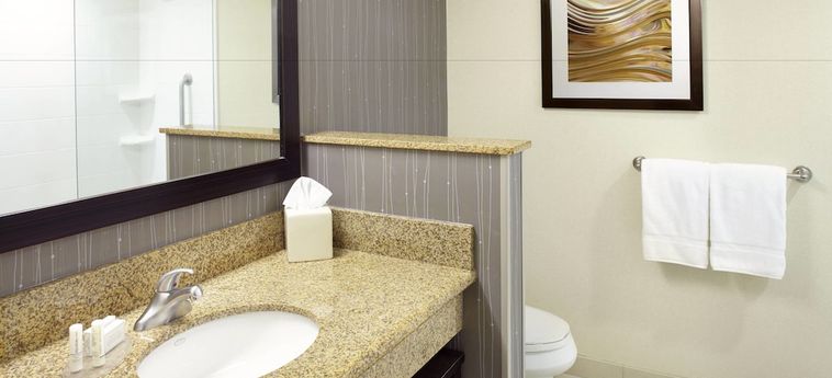 COURTYARD BY MARRIOTT READING WYOMISSING 3 Stelle