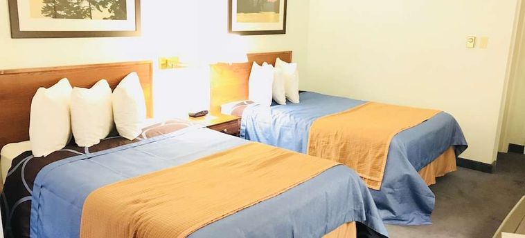 Ba Hotel Red Deer: Foto 