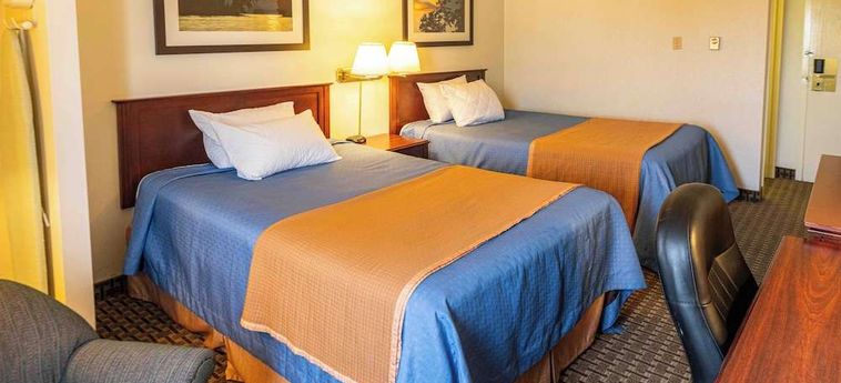 Ba Hotel Red Deer: Foto 