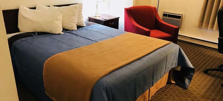 Ba Hotel Red Deer: Foto 
