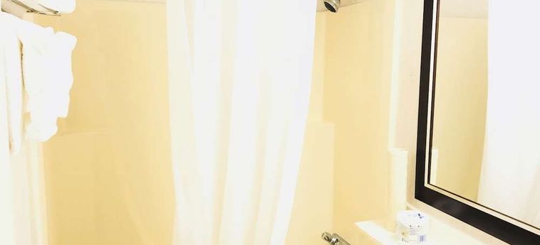 Ba Hotel Red Deer: Foto 