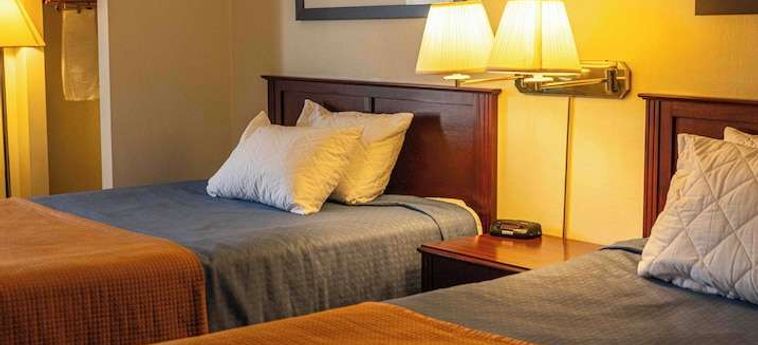 Ba Hotel Red Deer: Foto 