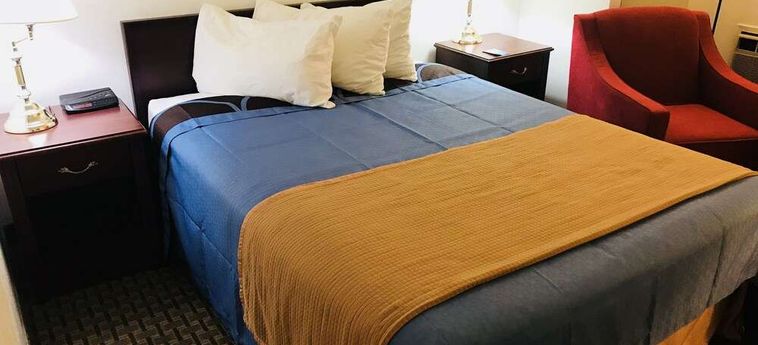 Ba Hotel Red Deer: Foto 