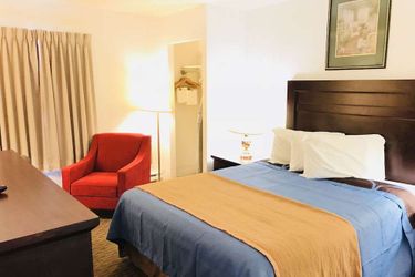 Ba Hotel Red Deer: Photo 