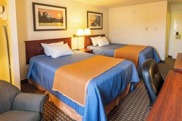 Ba Hotel Red Deer: Photo 