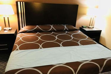 Ba Hotel Red Deer: Photo 