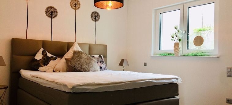 Hotel Villa Regensburg Regensburg: Foto 