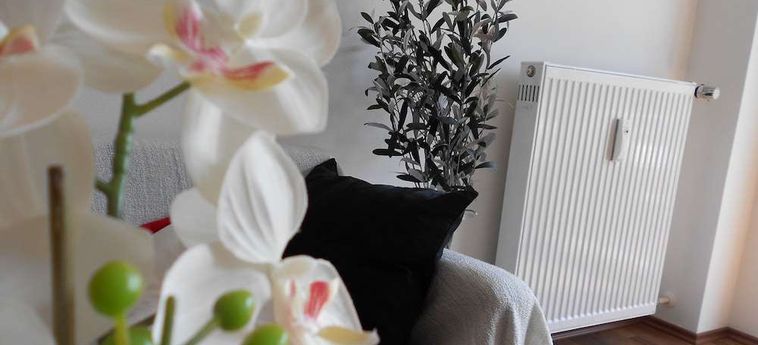 Hotel Beethoven Regensburg: Foto 