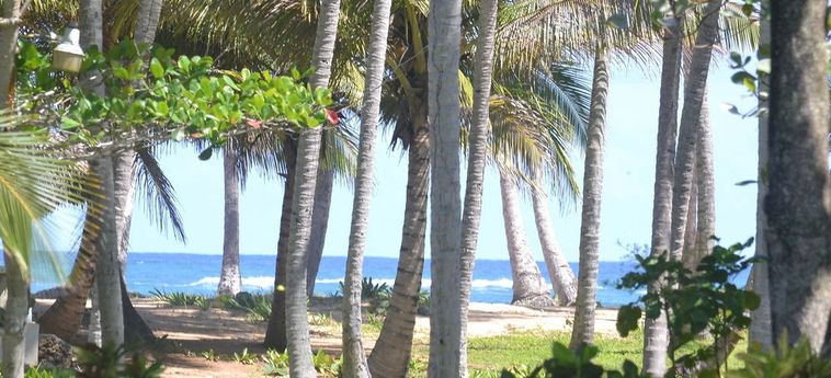 Hotel Baoba Beach Vacation:  REPUBBLICA DOMINICANA