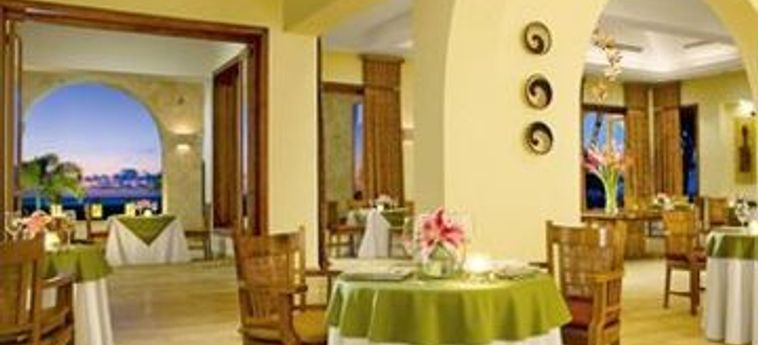 Hotel Xeliter Golden Bear Lodge Cap Cana:  RÉPUBLIQUE DOMINICAINE