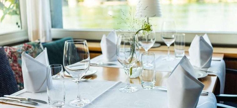 Hotel Schiff Am Rhein Rheinfelden : Photo 