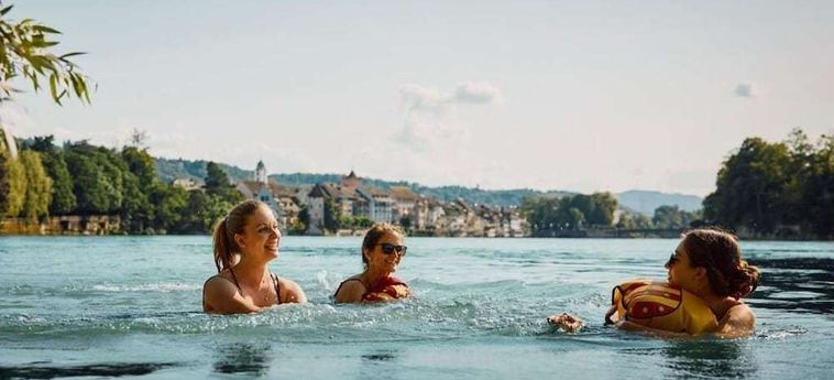 Hotel Schiff Am Rhein Rheinfelden : Photo 