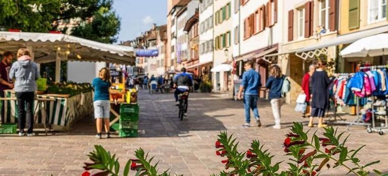 Hotel Schiff Am Rhein Rheinfelden : Photo 