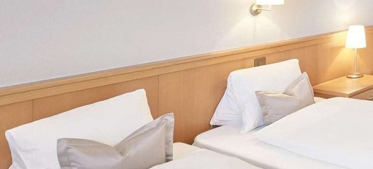 Hotel Schiff Am Rhein Rheinfelden: Foto 