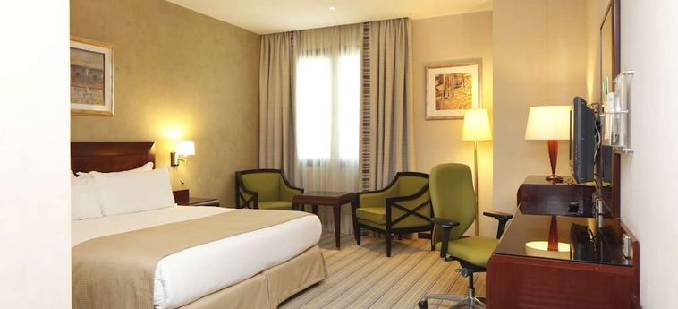 Hotel Holiday Inn Olaya:  RIAD