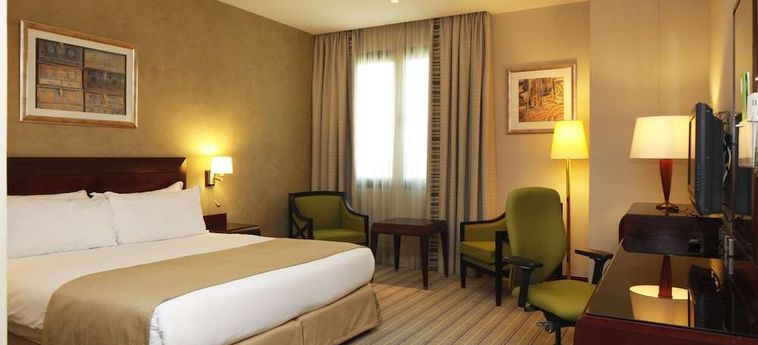 Hotel Holiday Inn Olaya:  RIAD
