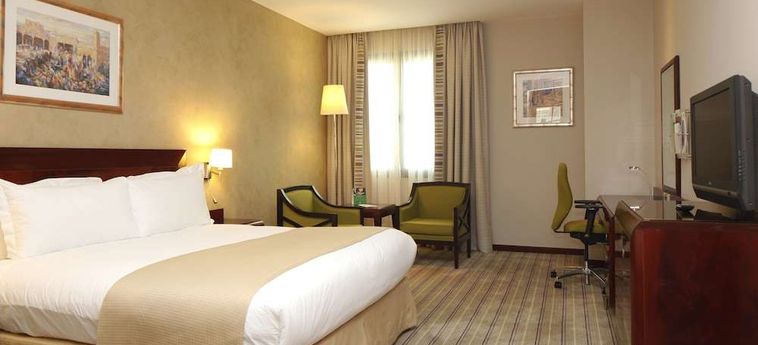 Hotel Holiday Inn Olaya:  RIAD