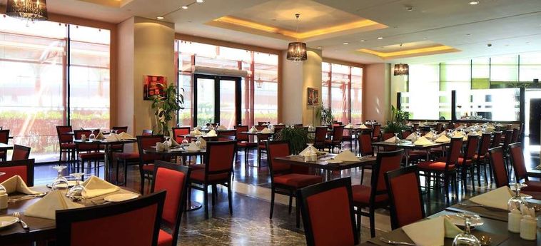 Hotel Holiday Inn Olaya:  RIAD