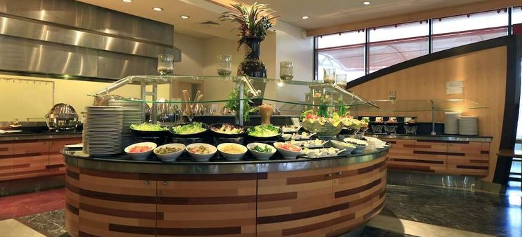Hotel Holiday Inn Olaya:  RIAD