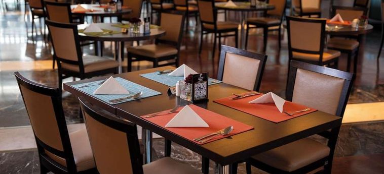 Hotel Holiday Inn Olaya:  RIAD