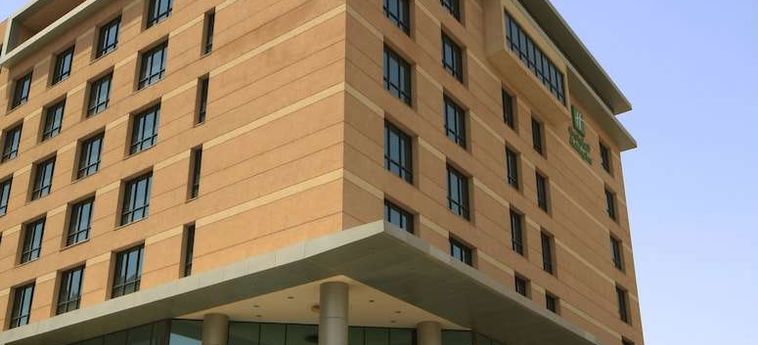 Hotel Holiday Inn Olaya:  RIAD