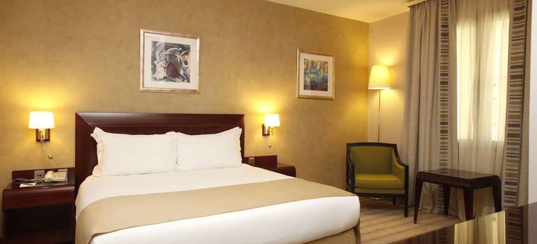 Hotel Holiday Inn Olaya:  RIAD