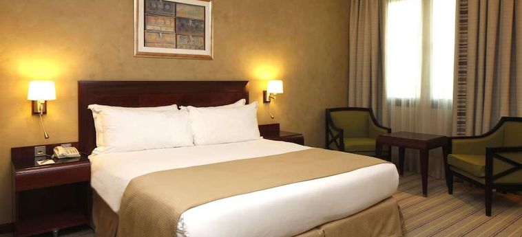 Hotel Holiday Inn Olaya:  RIAD