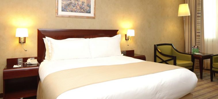 Hotel Holiday Inn Olaya:  RIAD