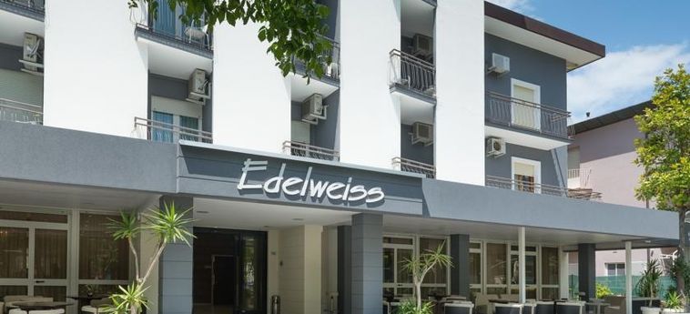Hotel Edelweiss:  RICCIONE - RIMINI