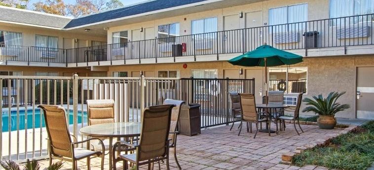 DOGWOOD INN AND SUITES 2 Sterne