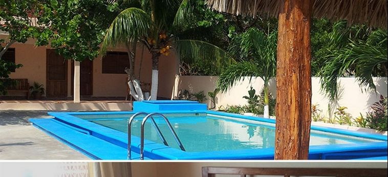 Hotel El Perico Marinero:  RIO LAGARTOS - YUCATAN