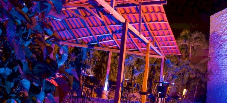 Hotel Cancun Private Party - Adults Only:  RIVIERA MAYA