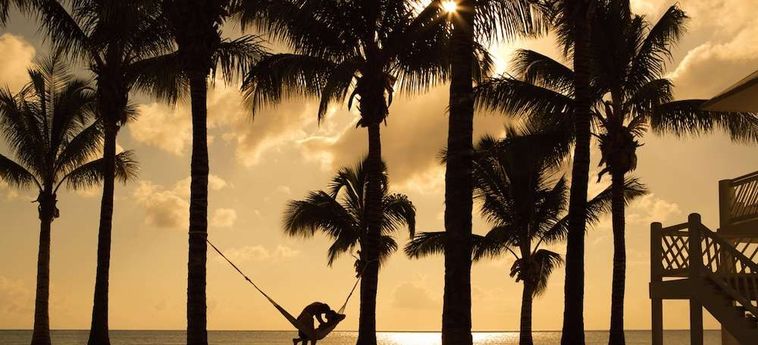 Hotel Sunscape Sabor Cozumel:  RIVIERA MAYA