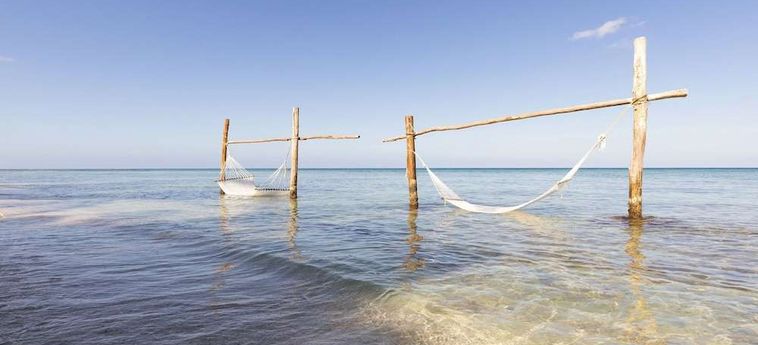 Hotel Sunscape Sabor Cozumel:  RIVIERA MAYA