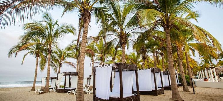 Hotel Occidental Nuevo Vallarta Riviera Nayarit : Photo 