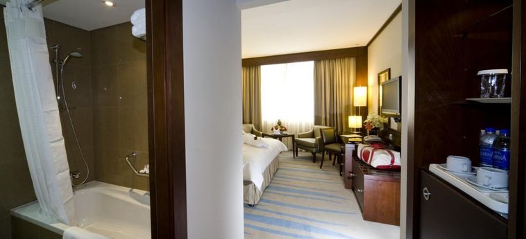 Hotel Holiday Inn Riyadh – Izdihar:  RIYAD