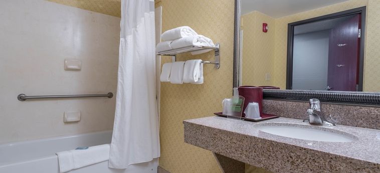 Hotel Holiday Inn Express & Suites Roanoke Rapids Se:  ROANOKE RAPIDS (NC)