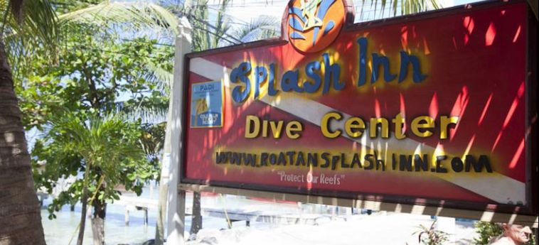 Hotel Splash Inn Dive Resort:  ROATAN