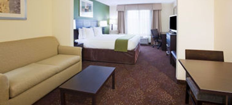 HOLIDAY INN EXPRESS & SUITES ROCHESTER WEST-MEDICAL CENTER 3 Stelle