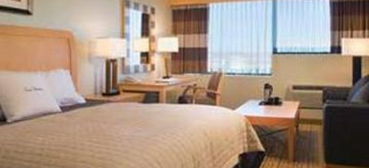 Doubletree By Hilton Hotel Rochester:  ROCHESTER (NY)