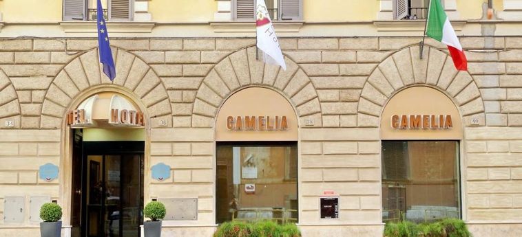 Hotel Camelia:  ROM