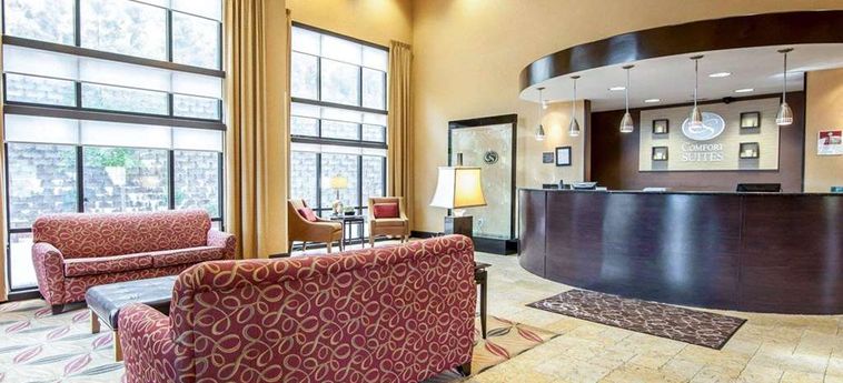 Hotel Comfort Suites:  ROME (GA)